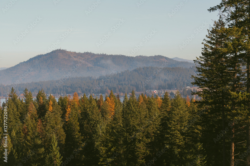 Fototapeta premium Lakeside Mountain View 
