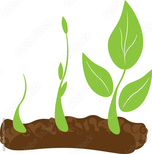 Small, fresh spring green shoots grow out of the soil.