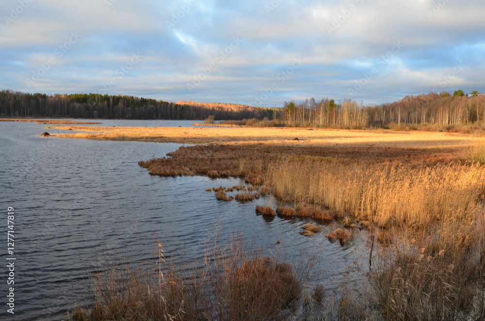 Autumn lake. Small waves on the surface of the water, reeds, bushes, trees grow along the banks of the reservoir. The foliage on them has turned yellow. Above, a blue sky with white and gray clouds. Autumn lake. Small waves on the surface of the water, reeds, bushes, trees grow along the banks of the reservoir. The foliage on them has turned yellow. Above, a blue sky with white and gray clouds.