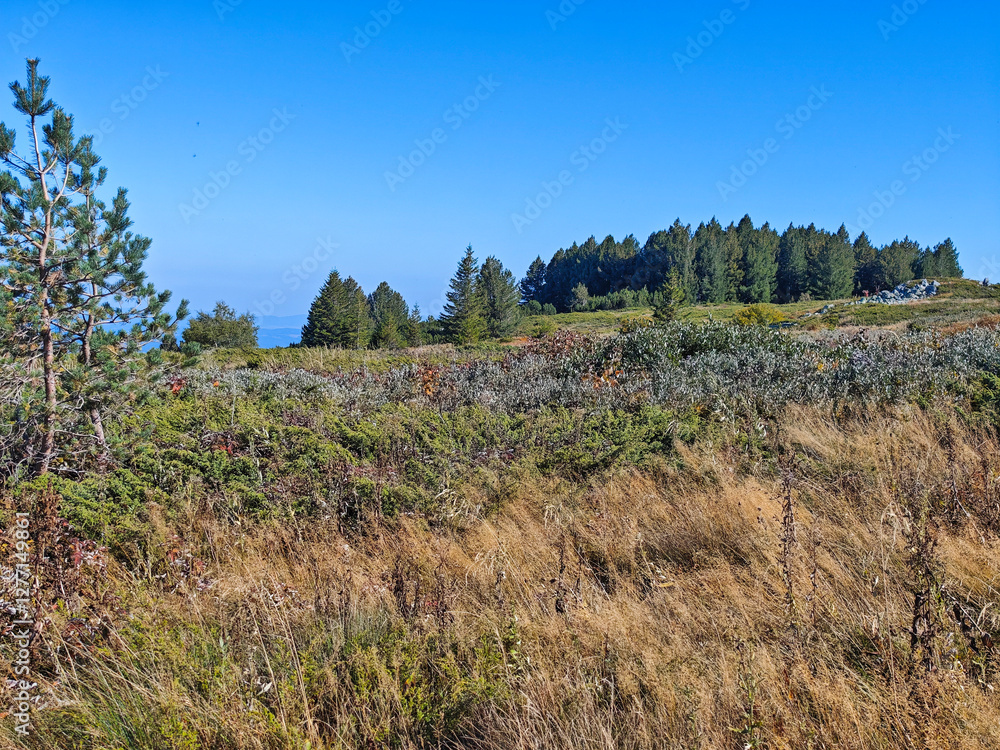 Autumn Landscape of Vitosha Mountain, Bulgaria Autumn Landscape of Vitosha Mountain, Bulgaria