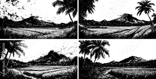 Philippines rural landscape, rice fields, coconut trees, mountain ranges ink graphic illustration