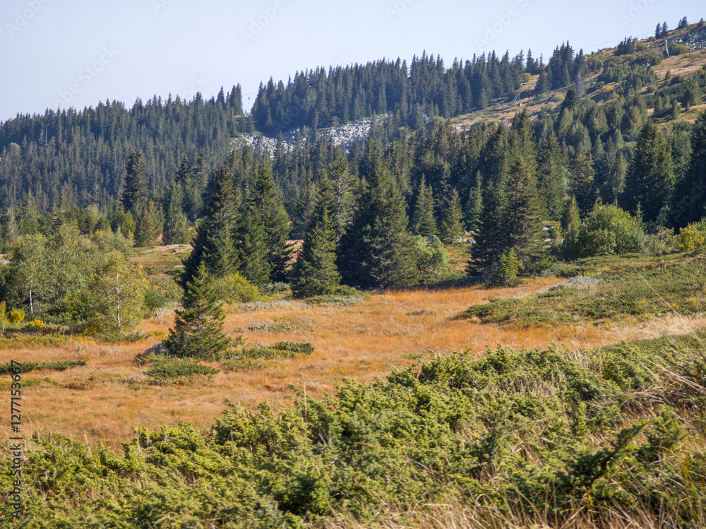 Autumn Landscape of Vitosha Mountain, Bulgaria Autumn Landscape of Vitosha Mountain, Bulgaria