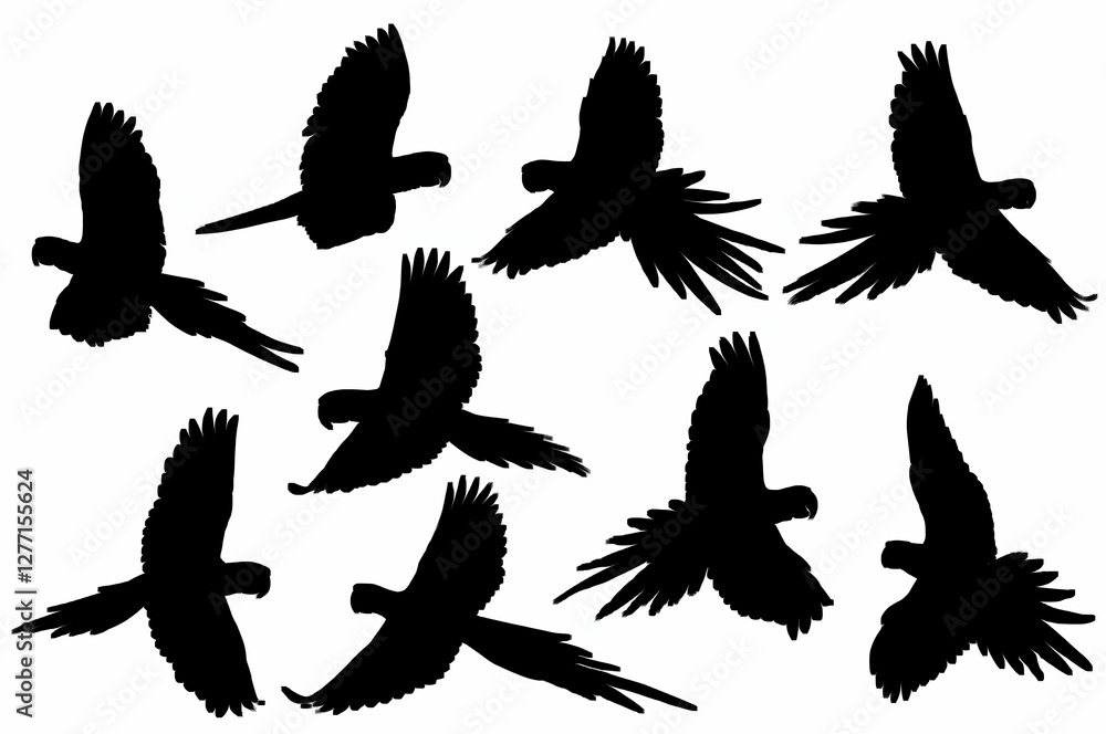 Fototapeta premium Flying Bird Silhouettes – Black Vector Clipart Set
