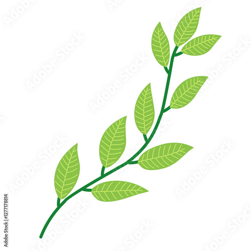 green leaves isolated on white background