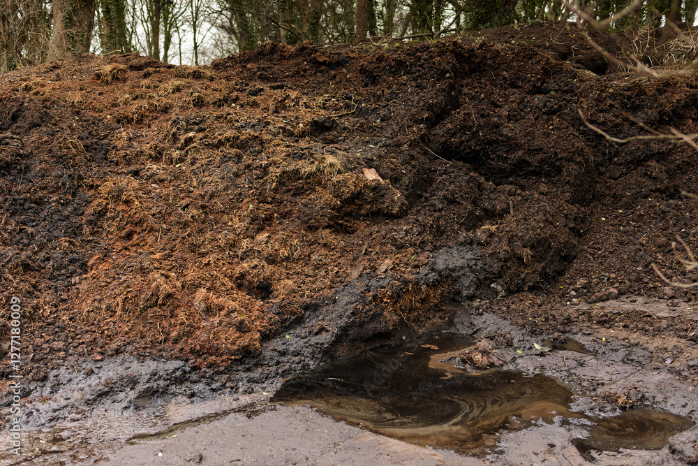Outdoor Municipal Grass Composting Heap Producing Rich Compost with Pooling Water and Tractor Tire Tracks Outdoor Municipal Grass Composting Heap Producing Rich Compost with Pooling Water and Tractor Tire Tracks