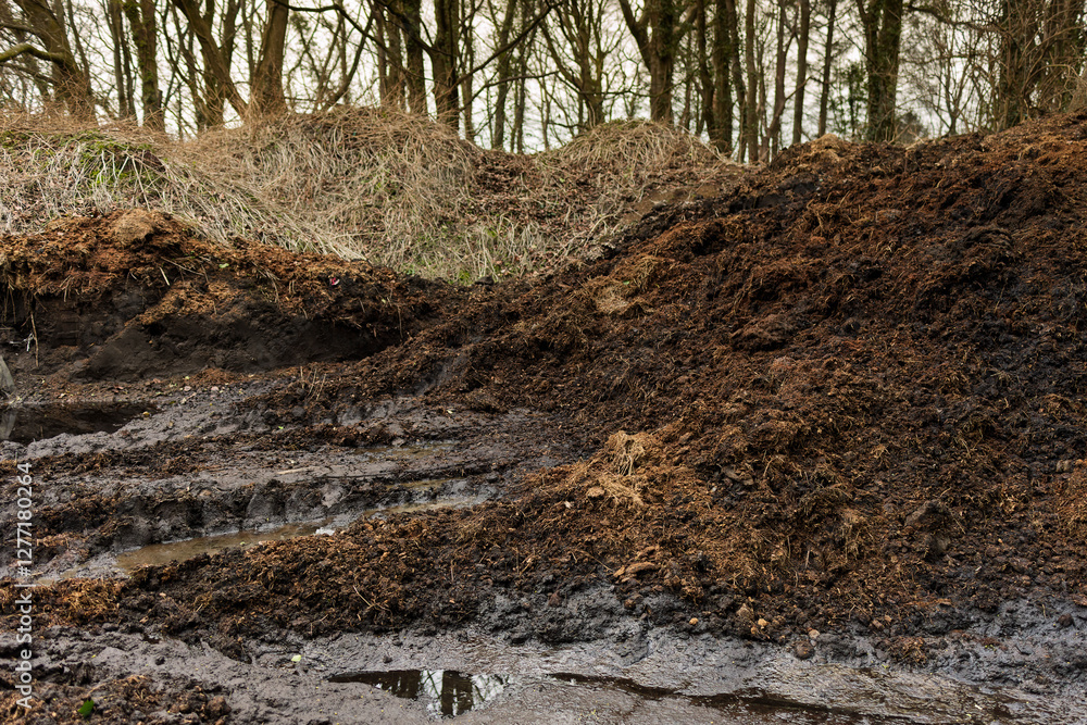 Fototapeta premium Outdoor Municipal Grass Composting Heap Producing Rich Compost with Pooling Water and Tractor Tire Tracks