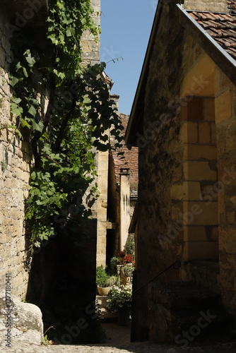 CASTILLO DE MONFORT. FRANCIA EUROPA.  photo