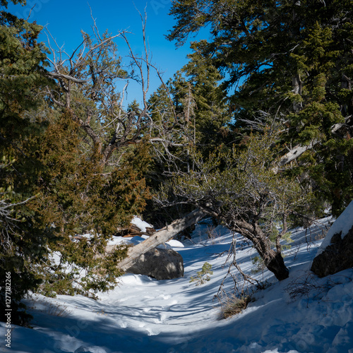 Snowy Mountains