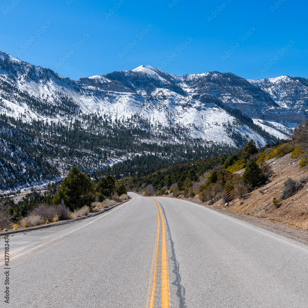 Fototapeta premium Snowy Mountains
