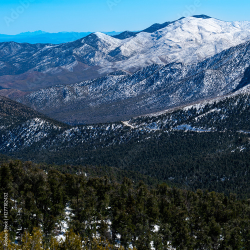 Snowy Mountains