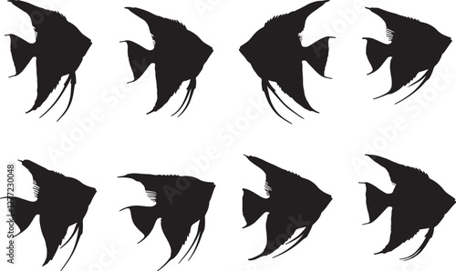 Angelfish Silhouettes