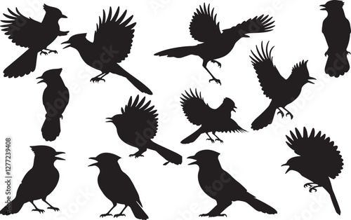 Blue Jay Silhouettes