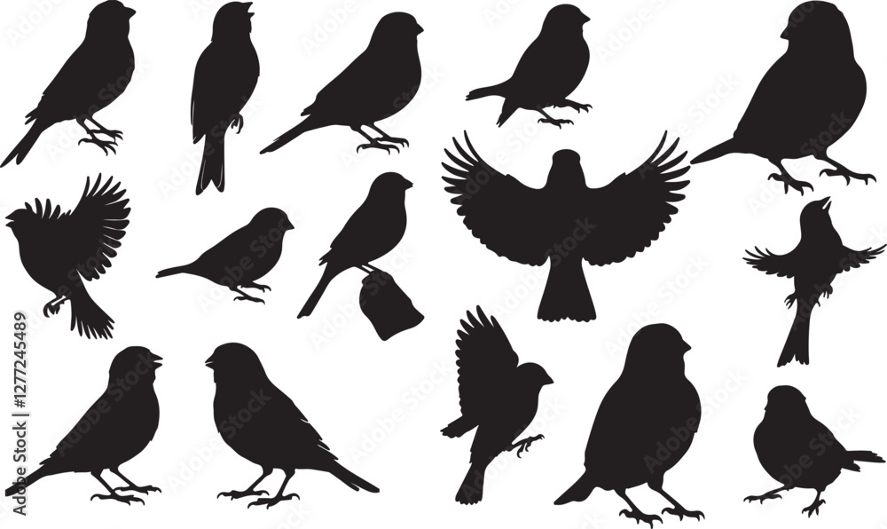 Obraz premium Canary Silhouettes