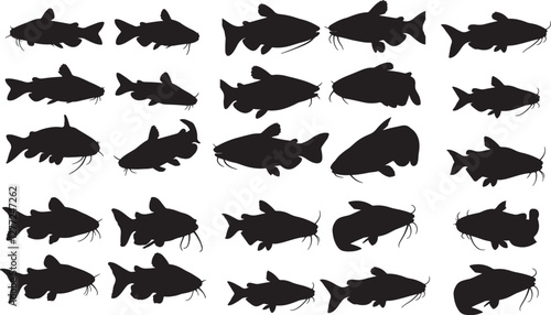 Catfish Silhouettes