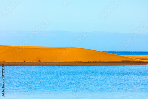 Obraz na płótnie Vibrant landscape of golden sand dune near a blue ocean under clear sky. Contrast between the bright orange sand and the blue water creates a striking and visually appealing scene w salonie