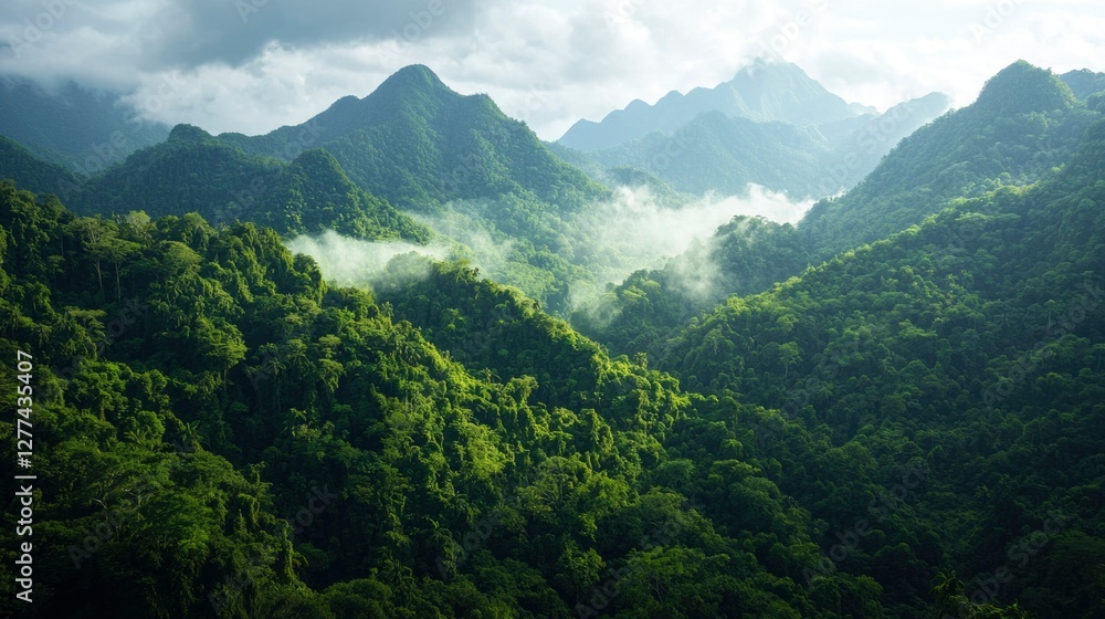 Lush mountain range covered in forests, hazy atmosphere. Possible use Stock photo for nature, travel, and environment themes Lush mountain range covered in forests, hazy atmosphere. Possible use Stock photo for nature, travel, and environment themes
