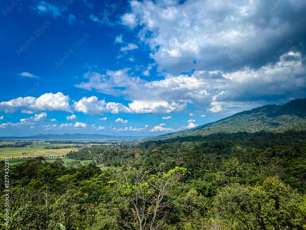 Fototapeta premium photo view of the beautiful rawa pening landscape with mountains, clear skies and green expanse