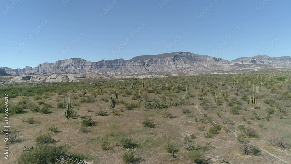 Aerial Views of the Coastal Deserts of Baja California Sur: A Breathtaking Wilderness Aerial Views of the Coastal Deserts of Baja California Sur: A Breathtaking Wilderness