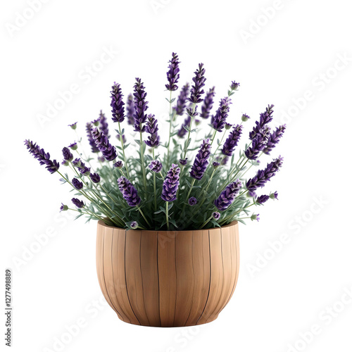 3D Lavender Plant in Rustic Wooden Pot photo