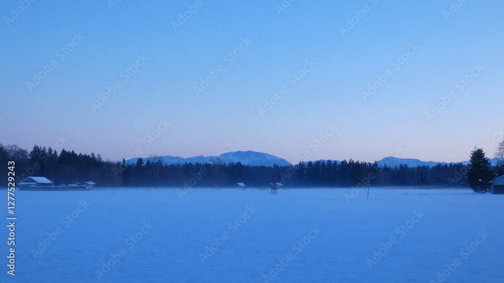 Fototapeta premium fog & snow covered feild