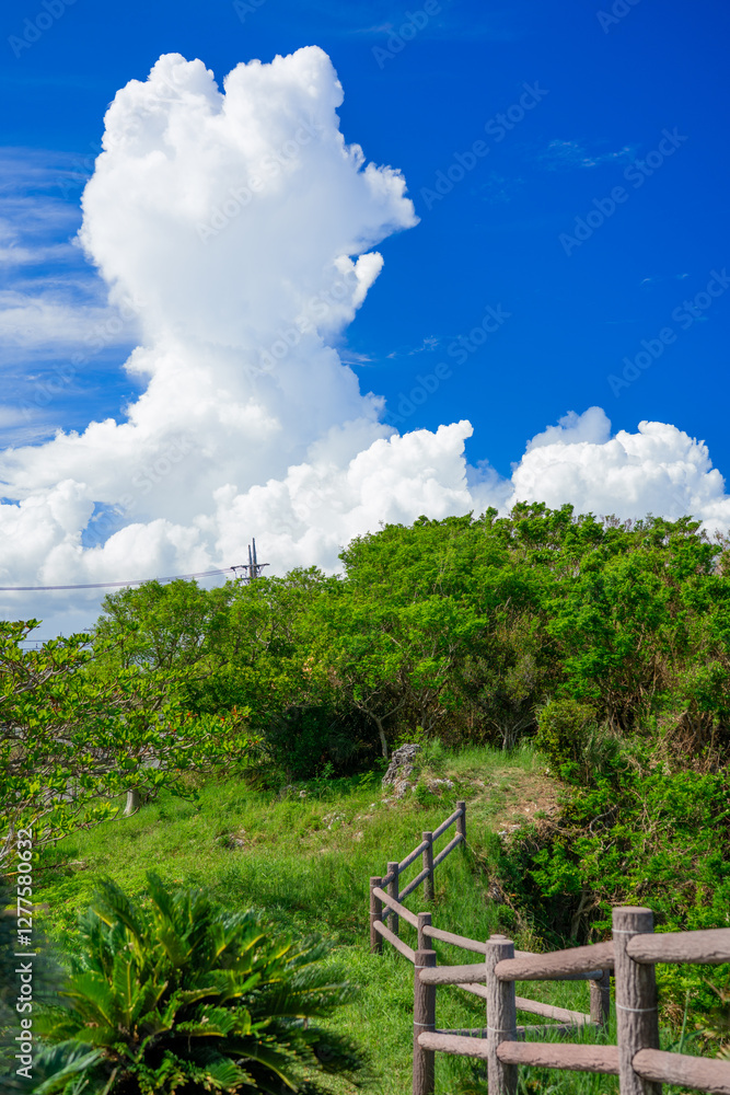 Fototapeta premium 沖縄の風景