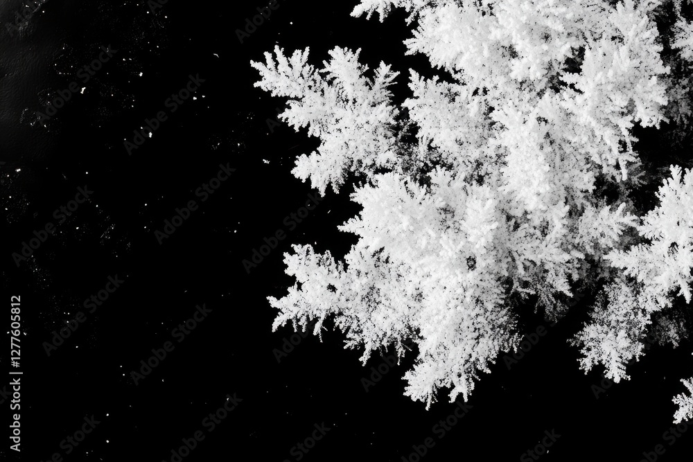 Stunning monochrome image of frost crystals on black background. Perfect for winter, nature, or science themes, adding a touch of elegant coolness. Stunning monochrome image of frost crystals on black background. Perfect for winter, nature, or science themes, adding a touch of elegant coolness.