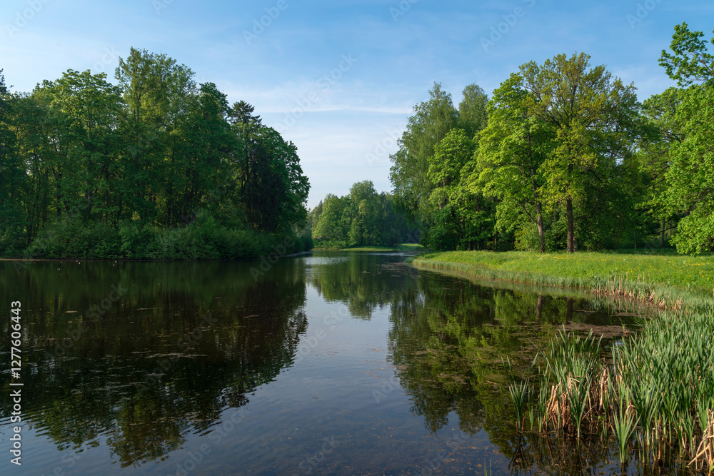 View of the Central Rosovopavilionny pond in the landscape part of the Pavlovsky Park Parade Field on a sunny summer day, Pavlovsk, St. Petersburg, Russia View of the Central Rosovopavilionny pond in the landscape part of the Pavlovsky Park Parade Field on a sunny summer day, Pavlovsk, St. Petersburg, Russia
