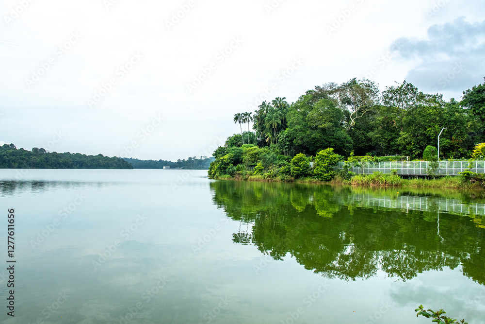The views along the Mandai Boardwalk in Singapore The views along the Mandai Boardwalk in Singapore
