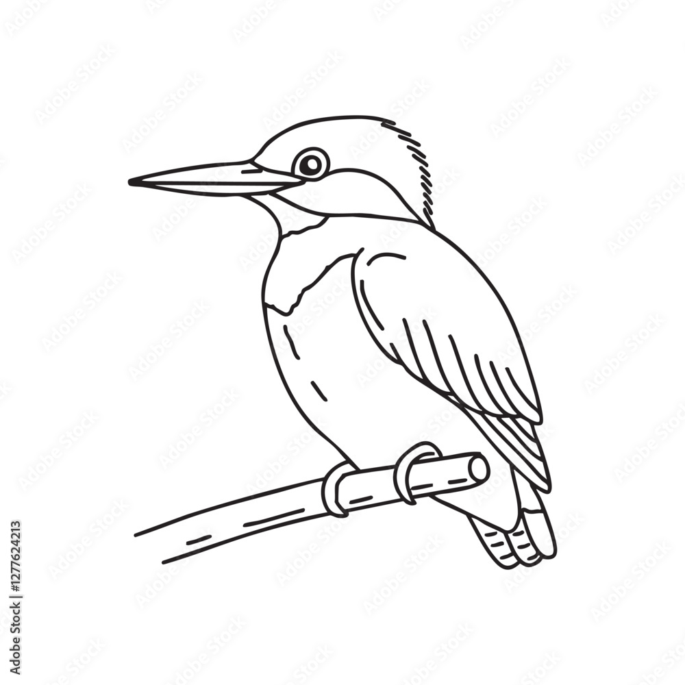 Obraz premium kingfisher perched on a branch, poised to dive into the water