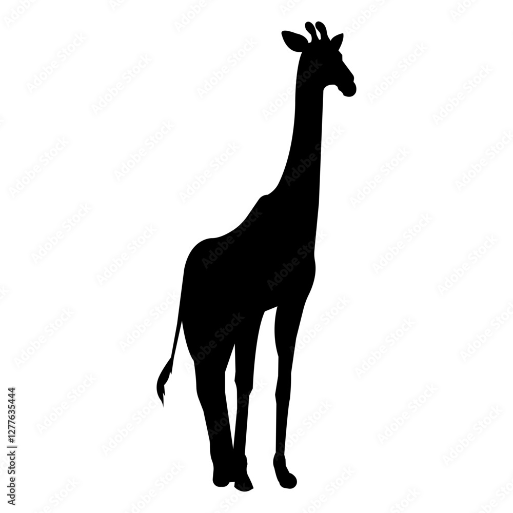 Fototapeta premium Giraffe