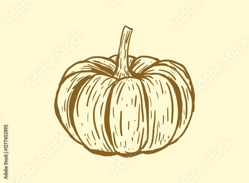 Illustration of an Fresh Vegetables Pumpkin Handdrawn