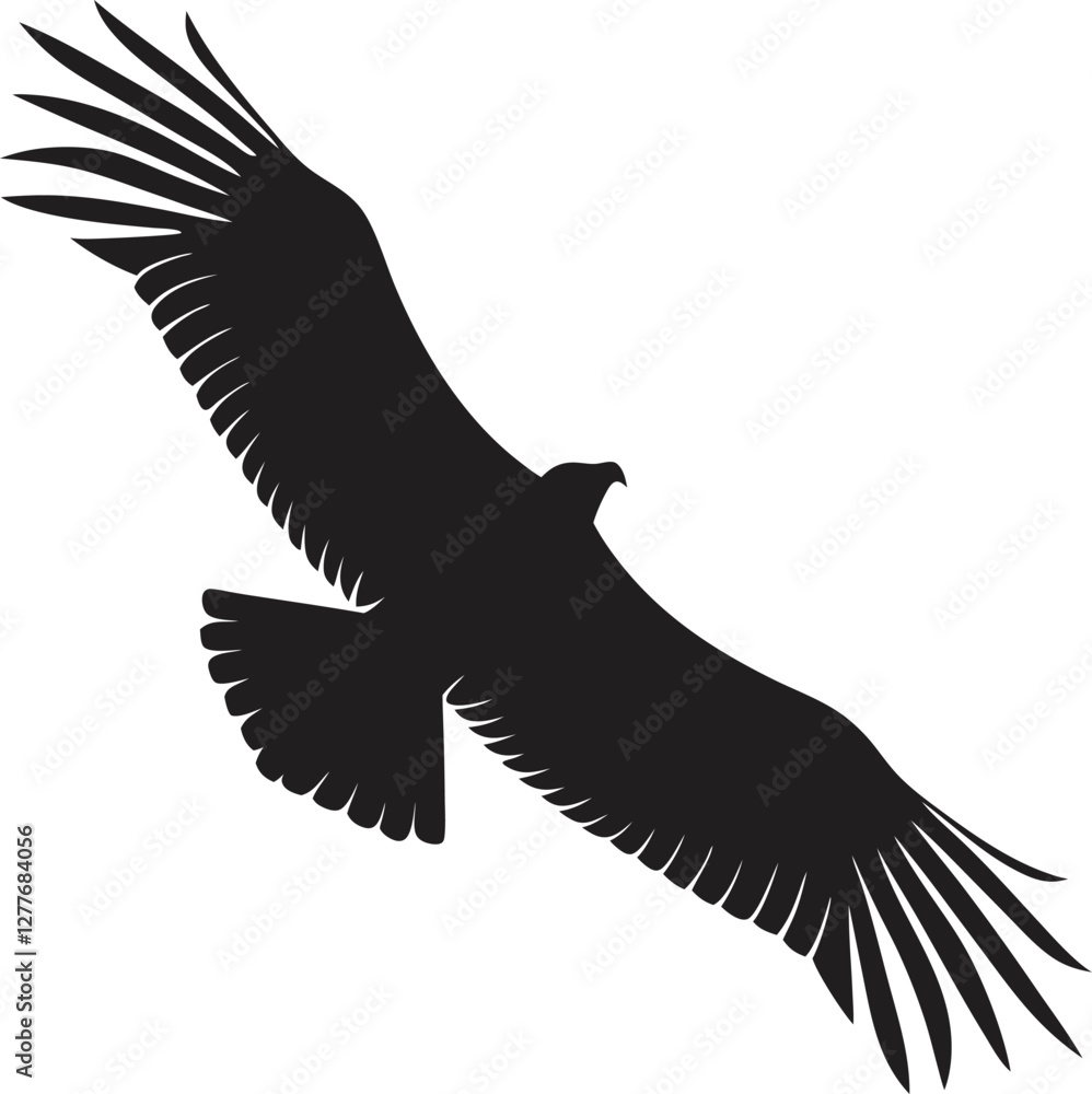 Obraz premium Condor silhouette