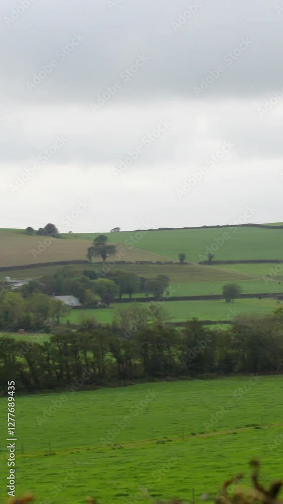 Panoramic shot of calm green fields Panoramic shot of calm green fields