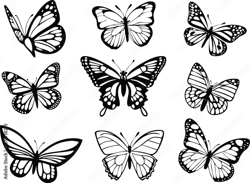 Different butterflies set. Vector illustration Different butterflies set. Vector illustration