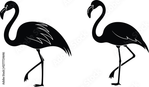 Flamingo  silhouette 