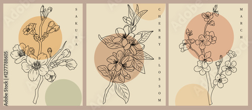 Set of Boho aesthetic botanical wall arts with Cherry Blossom, March Birth flowers. Sakura branch Retro posters for Scandinavian, Japandi interior in neutral beige colors. Vector line art drawing.