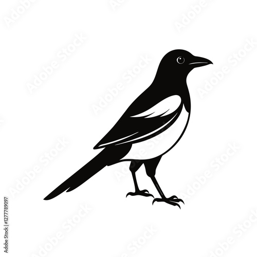 bird vector illustration
