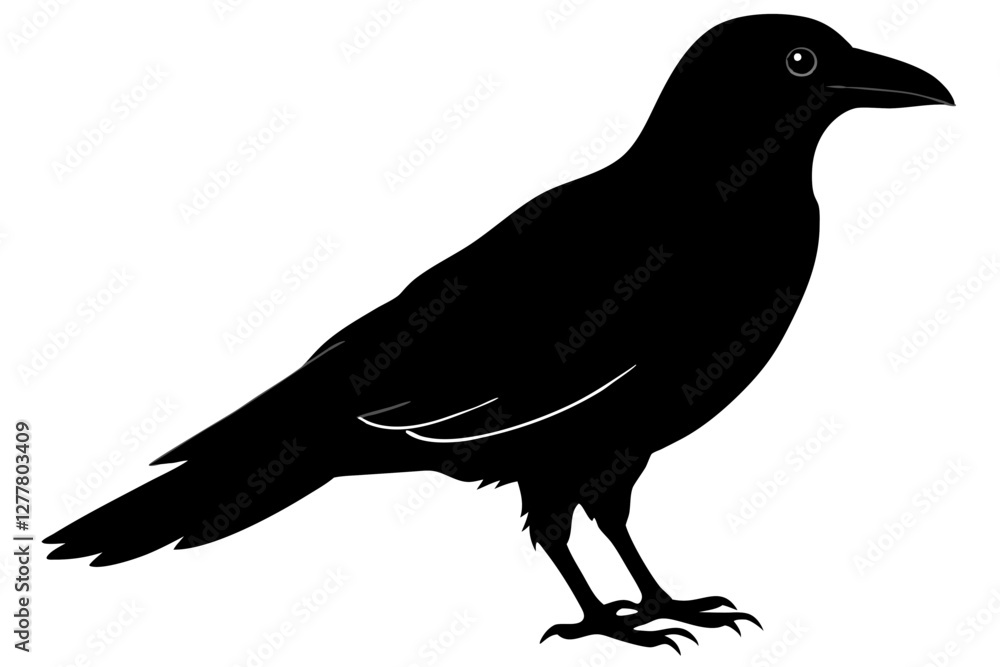 crow silhouette isolated on white crow silhouette isolated on white