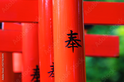 Canvas Print Japan beauty: red torii gate under sunlight