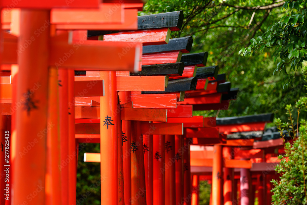 Japan beauty: red torii gate under sunlight Japan beauty: red torii gate under sunlight