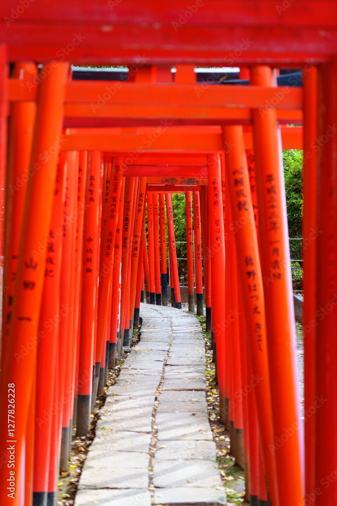 Japan beauty: red torii gate under sunlight Japan beauty: red torii gate under sunlight