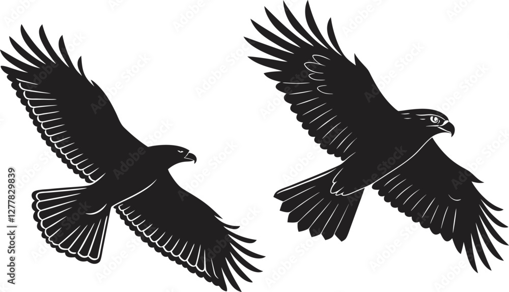 Fototapeta premium Pair of Hawks in Flight Vector Design of Majestic Birds with Outstretched Wings