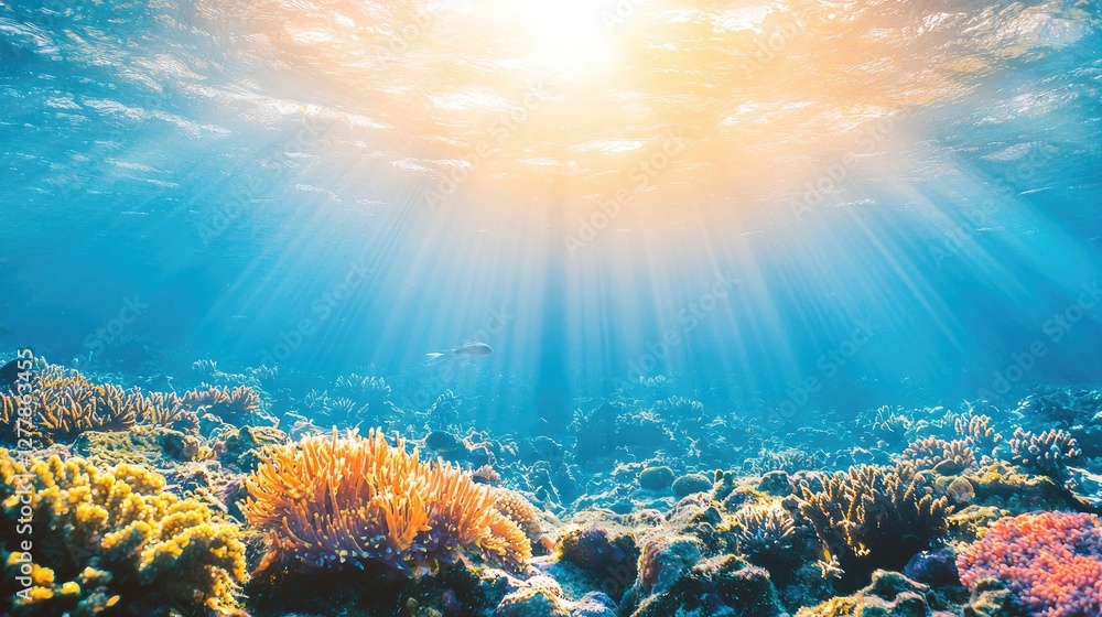 Obraz premium Vibrant Underwater Scene with Rays of Light and Colorful Corals