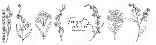 Set of Forget me Not flowers. Myosotis Trendy botanical line art elements for wedding cards, invitations. Hand drawn wild tender flower sketch. Vector outline drawings isolated