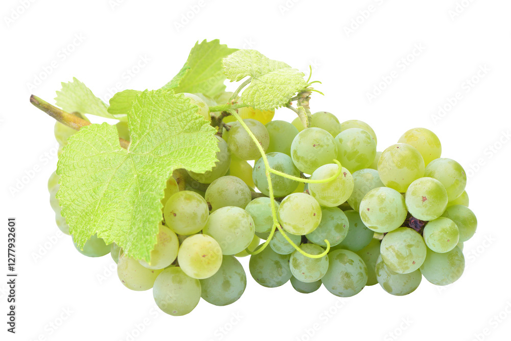 Bunch of green grapes isolated