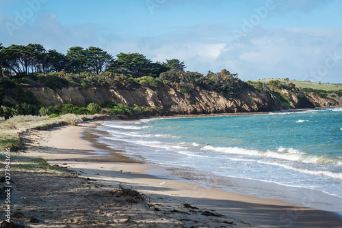 tropical beach with palm trees