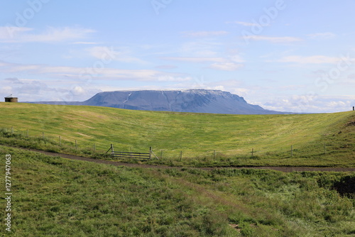 Meadow landscape at Lake Myvatn in the municipality of Skutustadir, Iceland   