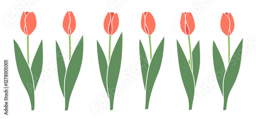 Red tulips isolated on white