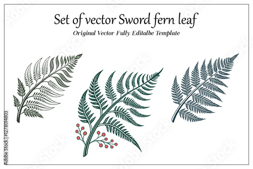 Sword fern leaf vector set.