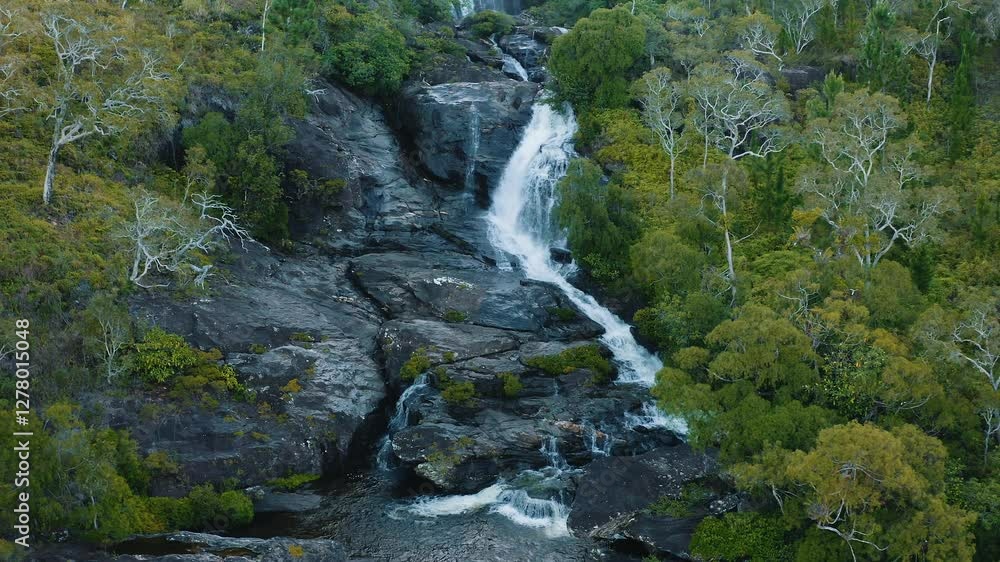 Cinematic drone shot flying backward away from a tropical waterfall in a lush forest, capturing a mesmerizing retreat amid vibrant natural beauty. Cinematic drone shot flying backward away from a tropical waterfall in a lush forest, capturing a mesmerizing retreat amid vibrant natural beauty.